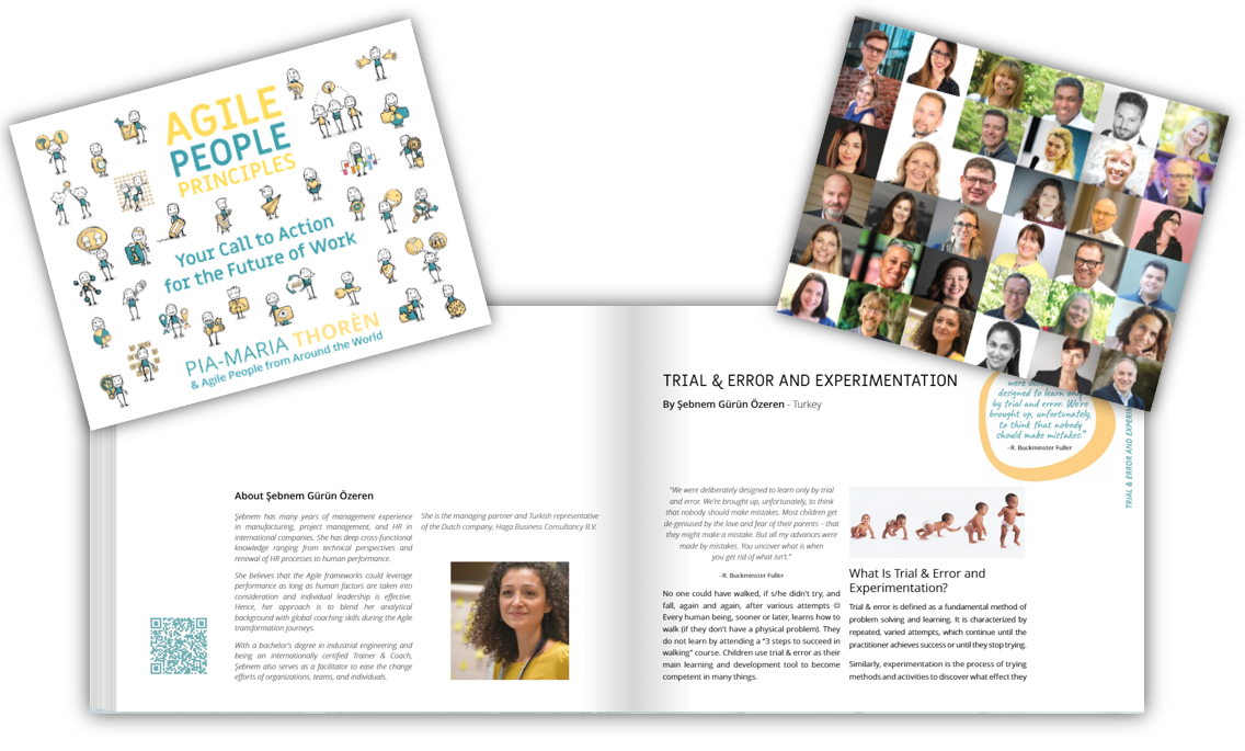 Agile People Principles book launch Sebnem