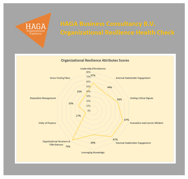 Organizational Resilience